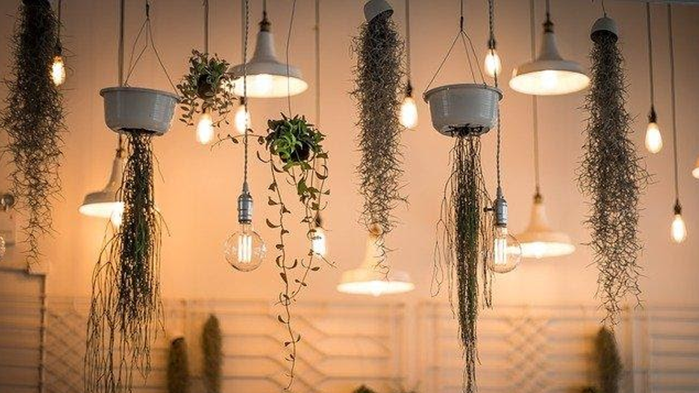 A Guide to Christmas Light Bulb Size Chart Yeelight