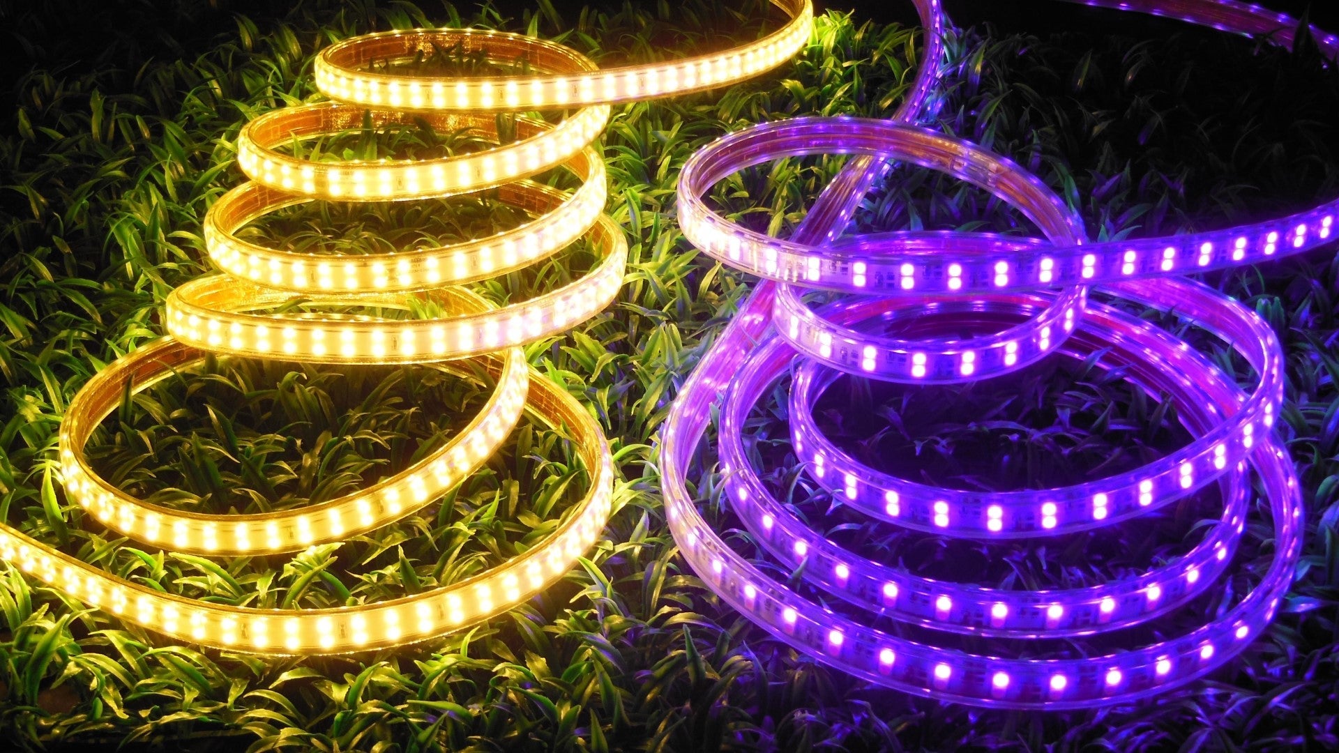 ما هي مدة بقاء مصابيح LED؟ | ييلايت – Yeelight